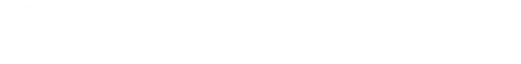 logo csa guidi